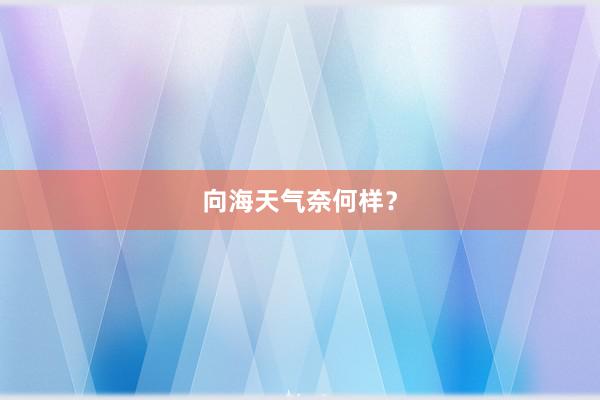 向海天气奈何样？