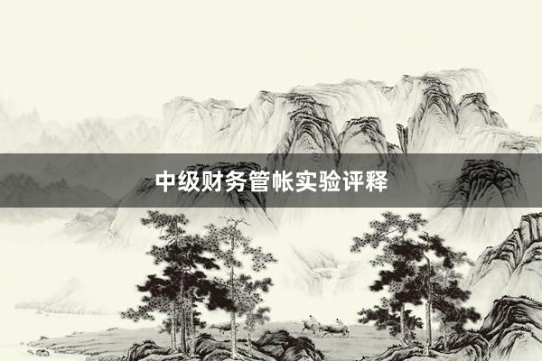 中级财务管帐实验评释