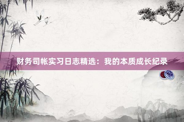 财务司帐实习日志精选：我的本质成长纪录
