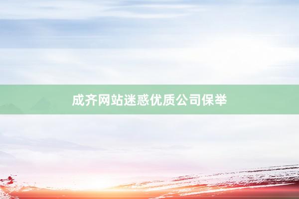 成齐网站迷惑优质公司保举